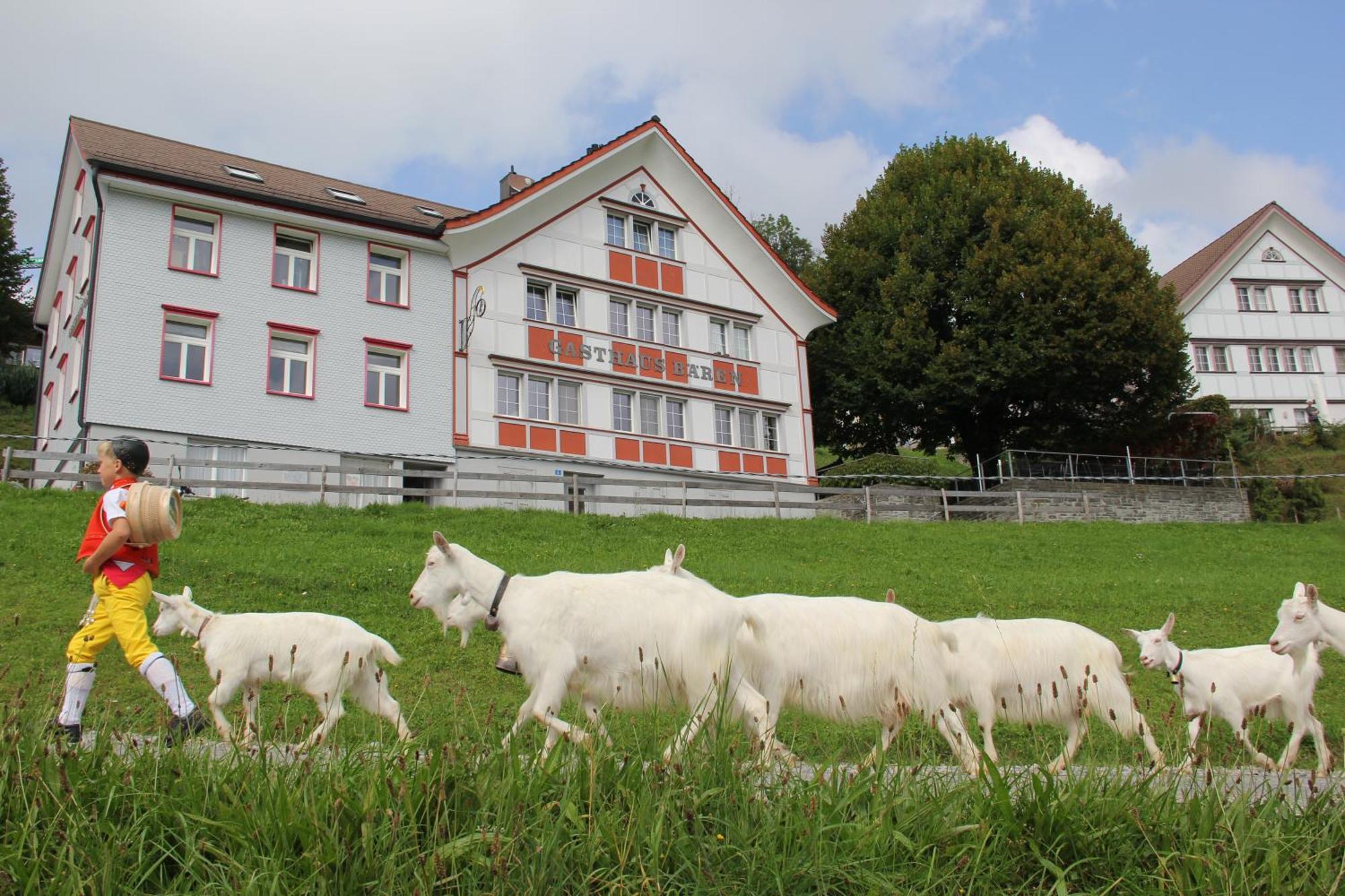 Gasthaus Baeren Schlatt อัพเพนเซลล์ ภายนอก รูปภาพ